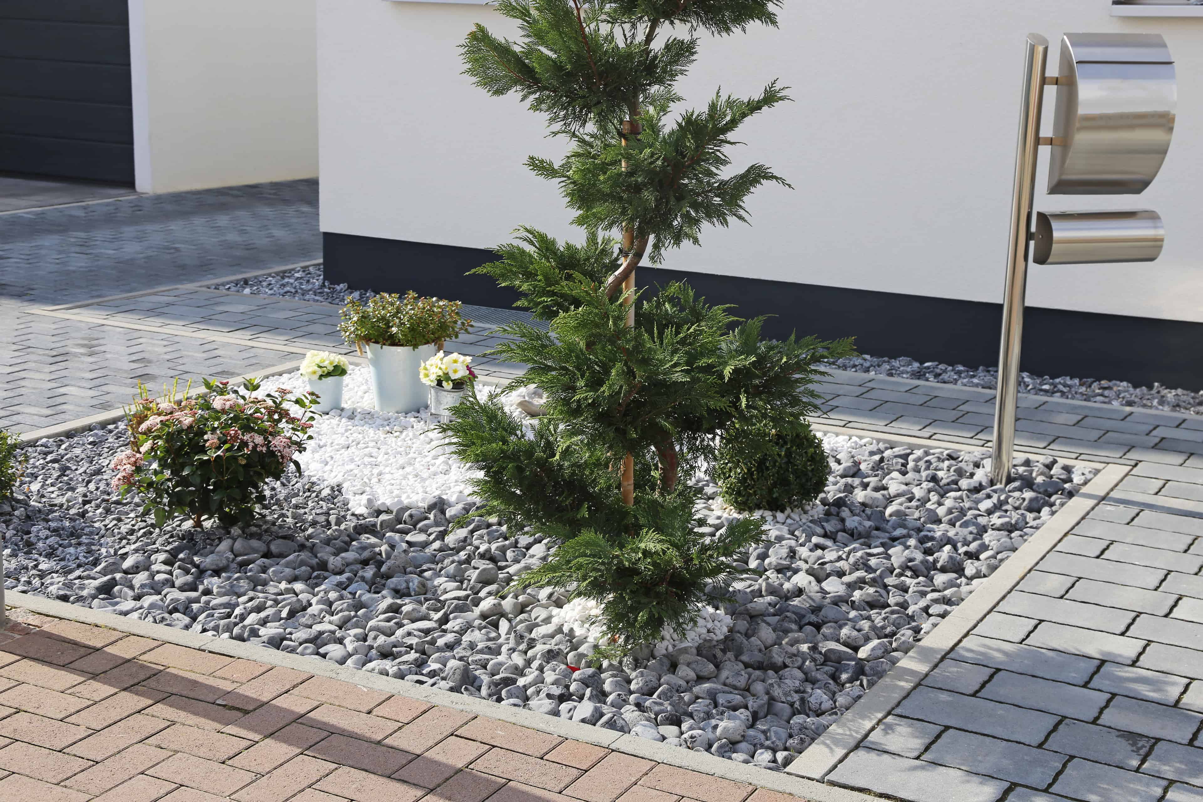Tree & Shrub Planting image